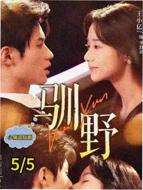 片种标签对照卡素材包封面